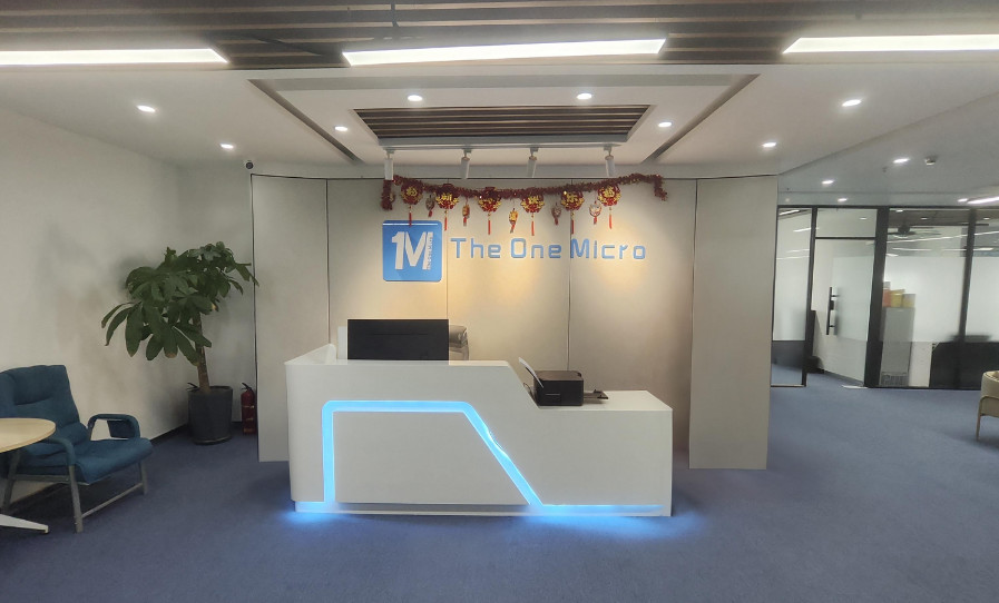 中国 Wuhan The One Micro Technology Co., Ltd. 会社概要